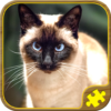 Cat Jigsaw Puzzles icon