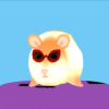 Hamster Thief icon