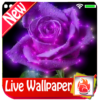 Purple flowers Live Wallpaper 2019 Purple flowers icon