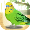 Parakeet Pet icon