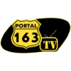 PORTAL 163 TV icon