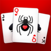 Best Spider Solitaire Game icon