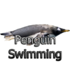 Penguin Swimming icon