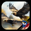 Bird Race 3D icon