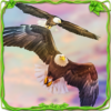 Eagle Racing Simulator: Birds Race Game icon