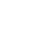 IStore icon