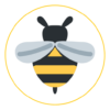 Spelling Bee Solver icon