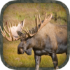 Moose Hunting Calls icon