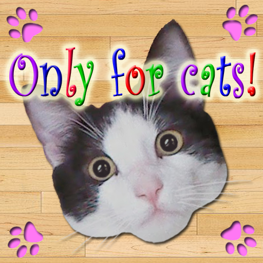 Only for Cats icon