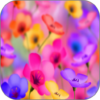 Animated Flowers HD Wallpaper icon