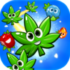 Blast Match 3 Flowers Blossom in Garden Weed Game icon