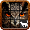 Owl Slide Puzzle icon