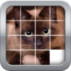 SliderMania Animals icon