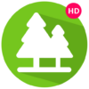 Forest Sounds icon