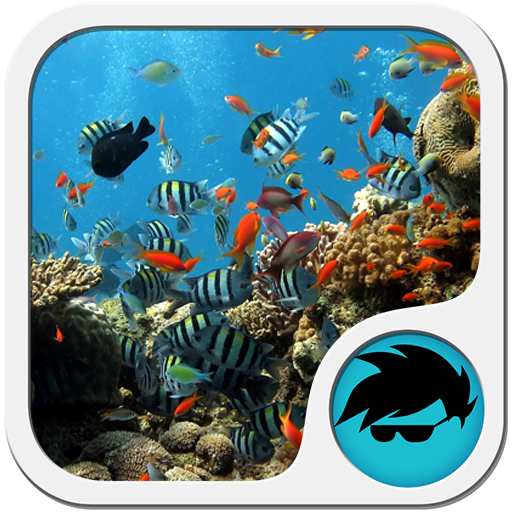 Reef Keyboard icon