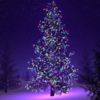 Christmas Cards icon