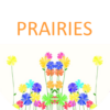 PRAIRIES icon