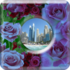 Lovely Roses Frames icon