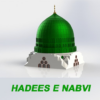 hadees e nabvi in urdu offline icon