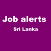 Job alerts in sri lanka (free) icon