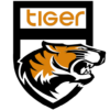 Tiger VPN Networks icon