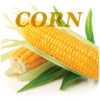 Health Benefits Of Corn icon