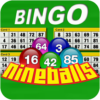 Nine Balls Video Bingo icon