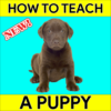 How to Teach a Puppy icon