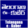 TS Kuber Online | Check e Kuber Status icon