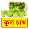 কুল চাষ ~ Jujube Cultivation icon