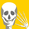 E. Learning Anatomy puzzle icon