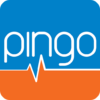 Pingo Analisi Internet icon