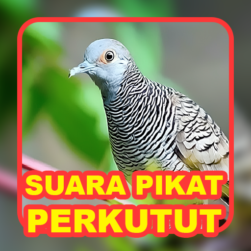 Suara Burung: Kicau Perkutut icon