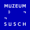 Muzeum Susch App icon