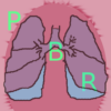 Pulmonary Board Review icon