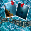 Find the differences: Sea Creatures icon