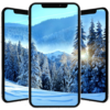 Winter Wallpaper ☃ ❄ icon