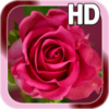 Rose Love Live Wallpaper icon