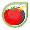 Tomato Slice icon