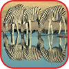 Cute Zebra Wallpapers icon