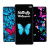 Butterfly Wallpapers Butterfly Images HD & 4K icon