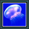 Live Wallpapers Jellyfish icon