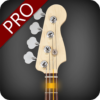 Bass Guitar Tutor Pro Learn To Play Bass icon