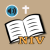 NIV BIBLE apps: audio and book icon