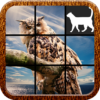 Animal Slide Puzzle icon