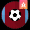 EFN Aston Villa icon