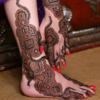 Bridal Mehndi Designs 2020 Dulhan Wedding Mehndi icon