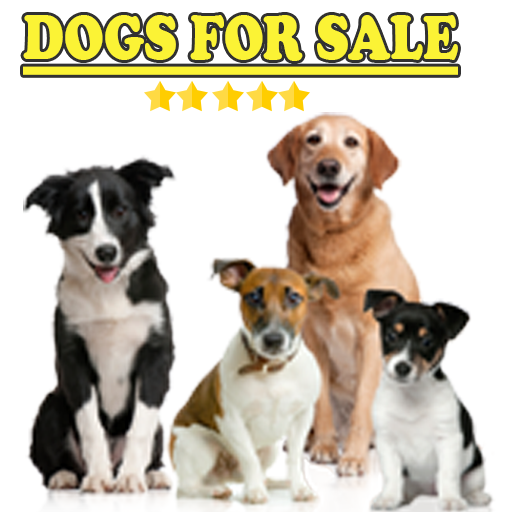 Dogs for sale icon