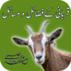 Eid Ul Adha Qurbani Guide Fazail O Masail icon