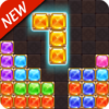 Block Puzzle Classic 2019 New Block Puzzle Game icon